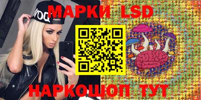 не бодяженный Сланцы