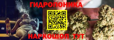 не бодяженный Сланцы