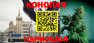 не бодяженный Сланцы