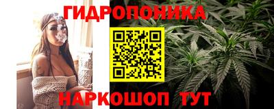 стаф Абакан