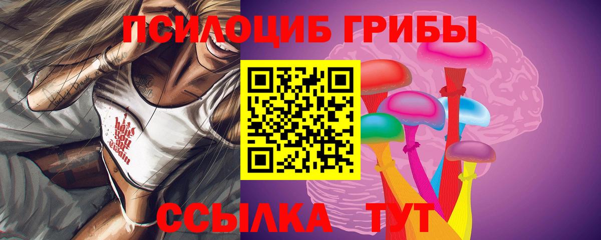 Сыктывкар  Псилоцибиновые грибы GOLDEN TEACHER  Вход с VPN 