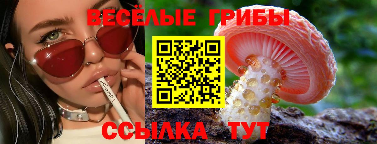 Галлюциногенные грибы MAGIC MUSHROOMS  купить наркотики цена  Сыктывкар  Псилоцибиновые грибы GOLDEN TEACHER 